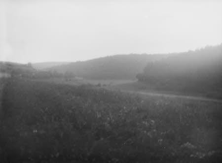 Shaw’s Corner. Reproduced with kind permission of LSE, The National Trust, and The Society of Authors on behalf of the Bernard Shaw Estate © National Trust