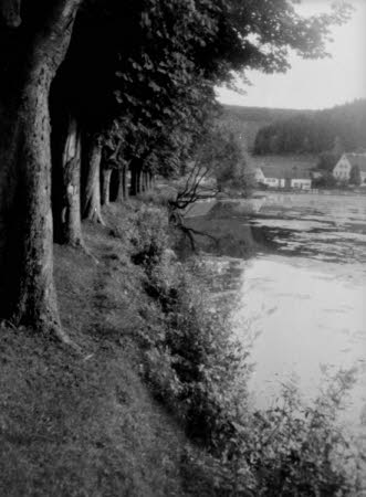 Shaw’s Corner. Reproduced with kind permission of LSE, The National Trust, and The Society of Authors on behalf of the Bernard Shaw Estate © National Trust