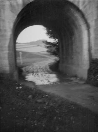 Shaw’s Corner. Reproduced with kind permission of LSE, The National Trust, and The Society of Authors on behalf of the Bernard Shaw Estate © National Trust