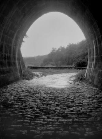 Shaw’s Corner. Reproduced with kind permission of LSE, The National Trust, and The Society of Authors on behalf of the Bernard Shaw Estate © National Trust