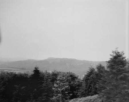 Shaw’s Corner. Reproduced with kind permission of LSE, The National Trust, and The Society of Authors on behalf of the Bernard Shaw Estate © National Trust