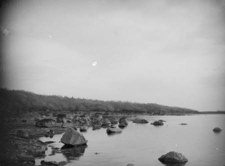 Coole Park: County Galway