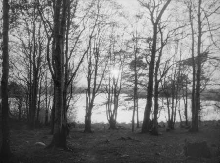 Shaw’s Corner. Reproduced with kind permission of LSE, The National Trust, and The Society of Authors on behalf of the Bernard Shaw Estate © National Trust