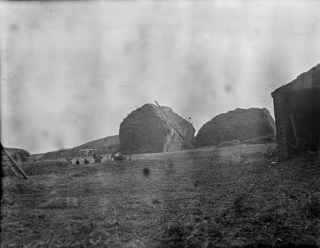 Shaw’s Corner. Reproduced with kind permission of LSE, The National Trust, and The Society of Authors on behalf of the Bernard Shaw Estate © National Trust