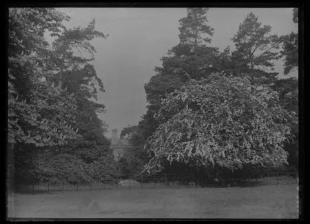 Glass Plate Negative
