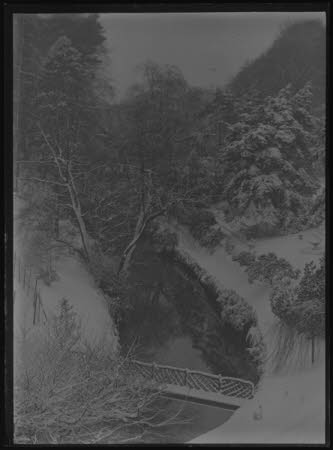 Negative on glass
