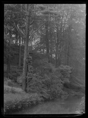 Negative on glass