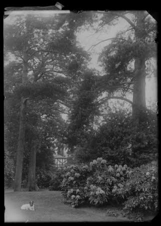 Negative on glass