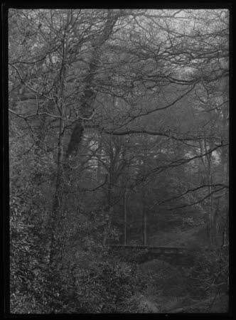 Negative on glass