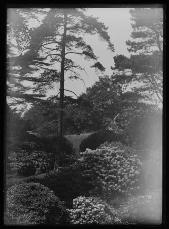 Negative on glass