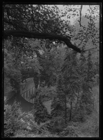 Negative on glass