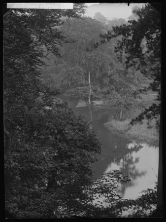Negative on glass