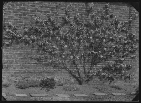 Negative on glass