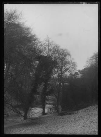 Negative on glass