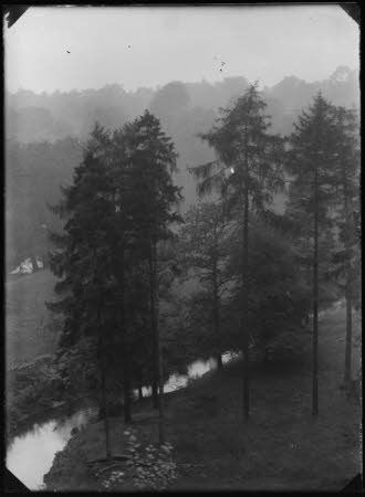 Negative on glass
