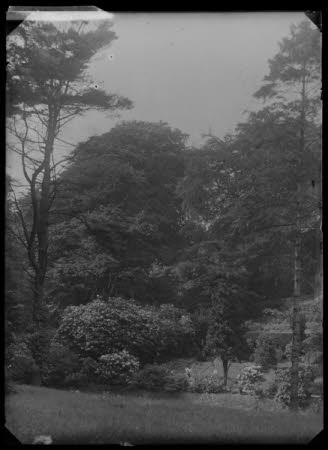 Negative on glass