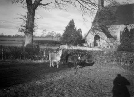 Shaw’s Corner. Reproduced with kind permission of LSE, The National Trust, and The Society of Authors on behalf of the Bernard Shaw Estate © National Trust