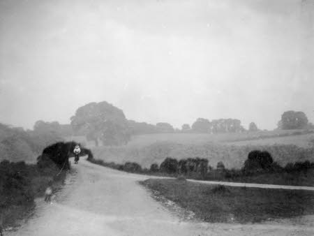Shaw’s Corner. Reproduced with kind permission of LSE, The National Trust, and The Society of Authors on behalf of the Bernard Shaw Estate © National Trust