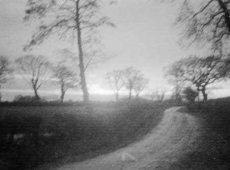 Shaw’s Corner. Reproduced with kind permission of LSE, The National Trust, and The Society of Authors on behalf of the Bernard Shaw Estate © National Trust