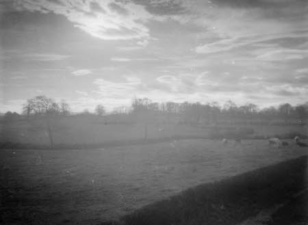 Shaw’s Corner. Reproduced with kind permission of LSE, The National Trust, and The Society of Authors on behalf of the Bernard Shaw Estate © National Trust