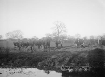 Shaw’s Corner. Reproduced with kind permission of LSE, The National Trust, and The Society of Authors on behalf of the Bernard Shaw Estate © National Trust
