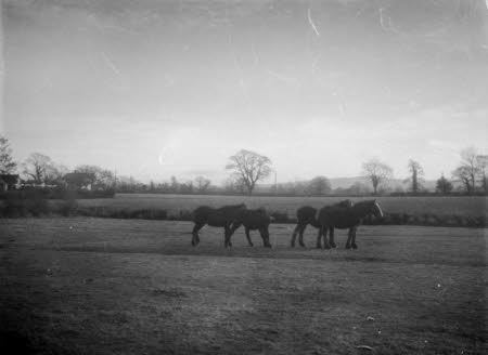 Shaw’s Corner. Reproduced with kind permission of LSE, The National Trust, and The Society of Authors on behalf of the Bernard Shaw Estate © National Trust