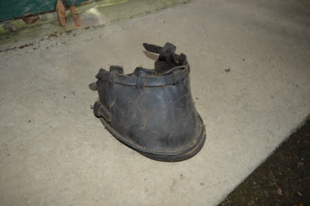Pony shoe