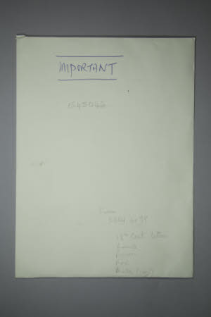 Large envelope