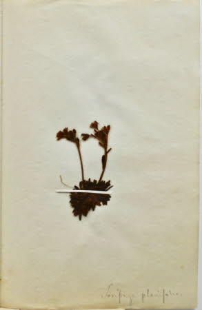 Gunby Hall © National Trust / Robert Bakewell