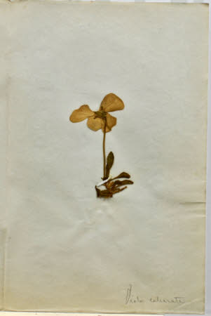 Gunby Hall © National Trust / Robert Bakewell