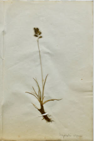 Gunby Hall © National Trust / Robert Bakewell