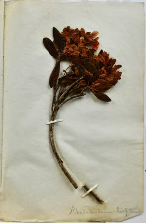 Gunby Hall © National Trust / Robert Bakewell