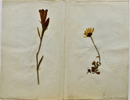 Gunby Hall © National Trust / Robert Bakewell