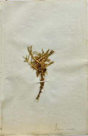 Gunby Hall © National Trust / Robert Bakewell