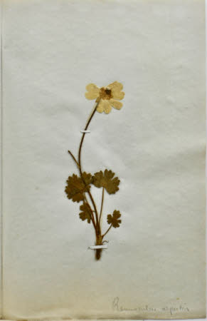 Gunby Hall © National Trust / Robert Bakewell