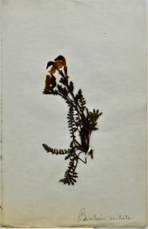 Gunby Hall © National Trust / Robert Bakewell