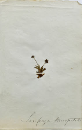 Gunby Hall © National Trust / Robert Bakewell