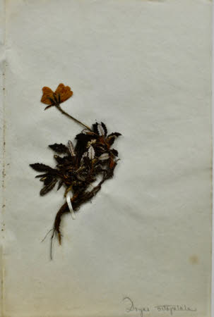 Gunby Hall © National Trust / Robert Bakewell