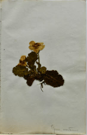 Gunby Hall © National Trust / Robert Bakewell