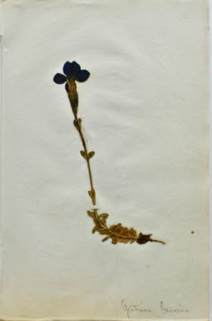 Gunby Hall © National Trust / Robert Bakewell