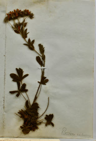 Gunby Hall © National Trust / Robert Bakewell