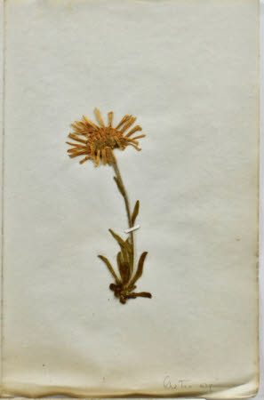 Gunby Hall © National Trust / Robert Bakewell