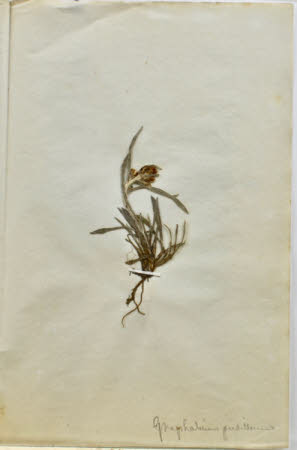 Gunby Hall © National Trust / Robert Bakewell