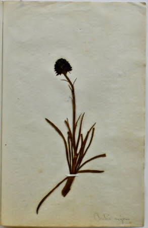 Gunby Hall © National Trust / Robert Bakewell