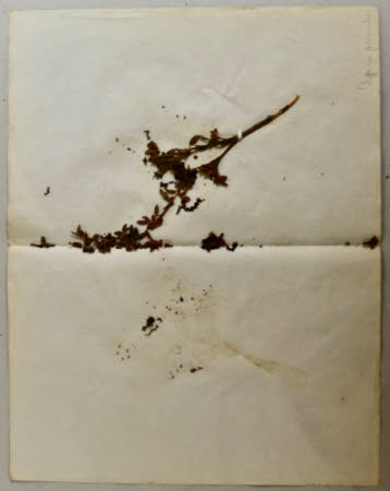 Gunby Hall © National Trust / Robert Bakewell