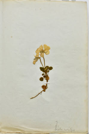 Gunby Hall © National Trust / Robert Bakewell