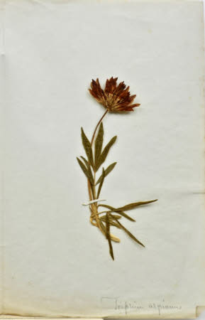 Gunby Hall © National Trust / Robert Bakewell