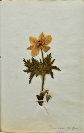 Gunby Hall © National Trust / Robert Bakewell