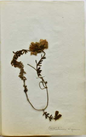 Gunby Hall © National Trust / Robert Bakewell