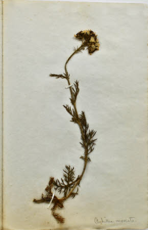 Gunby Hall © National Trust / Robert Bakewell